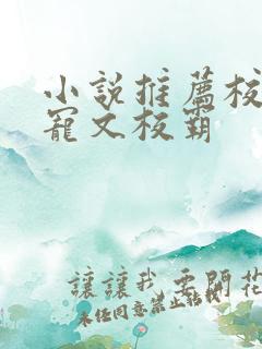 小说推荐校园甜宠文校霸