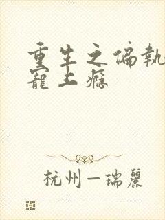 重生之偏执老公宠上瘾