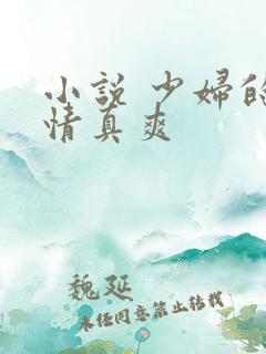 小说 少妇的激情真爽