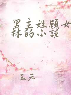 男主姓顾女主姓林的小说