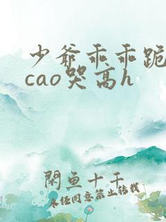 少爷乖乖跪趴被cao哭高h