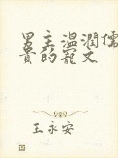 男主温润儒雅矜贵的宠文