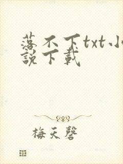 落不下txt小说下载