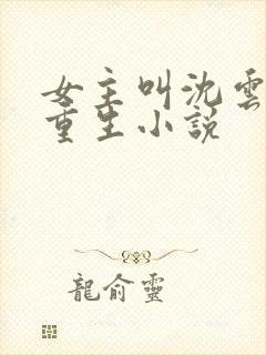 女主叫沈云汐的重生小说