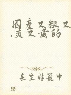 国产又粗又猛又,爽又黄的