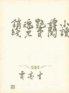 销魂艳婢小说在线免费阅读