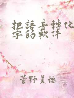 把语音转化成文字的软件