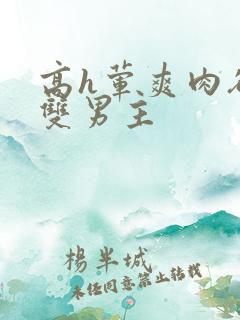 高h荤爽肉欲文双男主