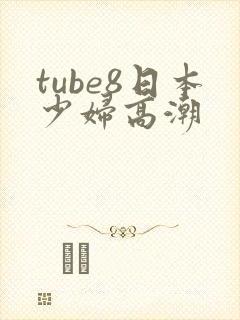 tube8日本少妇高潮