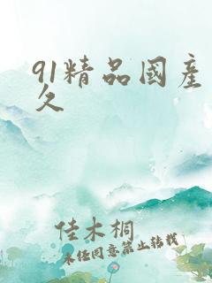 91精品国产久久