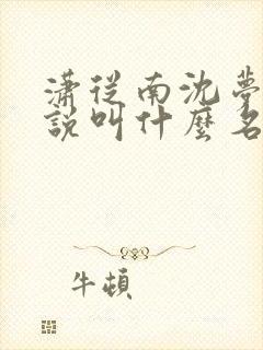 潇从南沈梦清小说叫什么名字