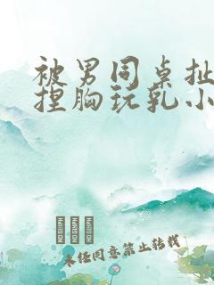 被男同桌扯乳罩捏胸玩乳小说