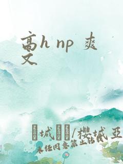 高h np 爽文