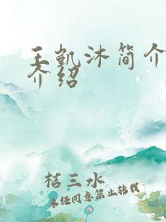 王凯沐简介信息介绍