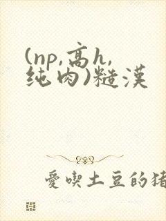 (np,高h,纯肉)糙汉