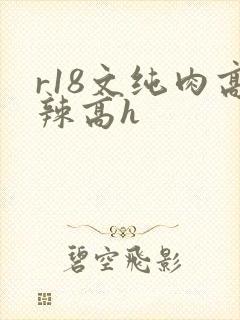 r18文纯肉高辣高h