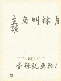 主角叫林月的小说