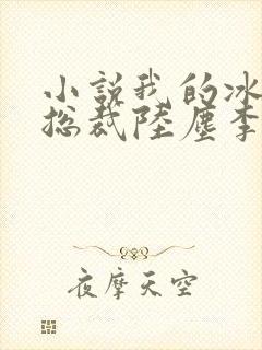 小说我的冰山女总裁陆尘李清瑶