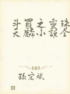 斗罗之灵珠神剑天麟小说全文免费阅读