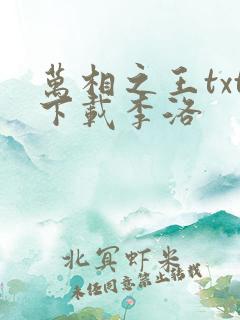 万相之王txt下载李洛