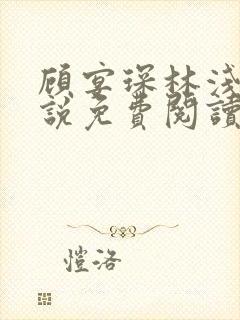 顾宴琛林浅月小说免费阅读最新章节