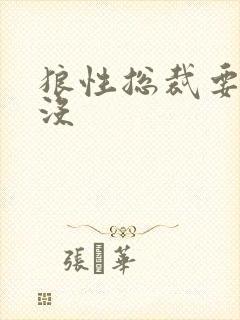 狼性总裁要够了没