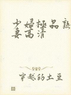 少妇极品熟妇人妻高清