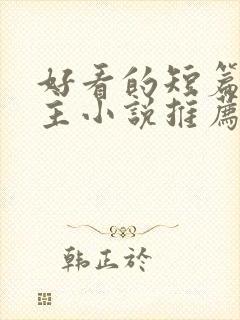 好看的短篇双男主小说推荐完结