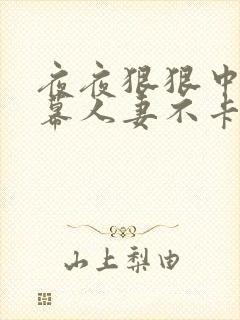 夜夜狠狠中文字幕人妻不卡