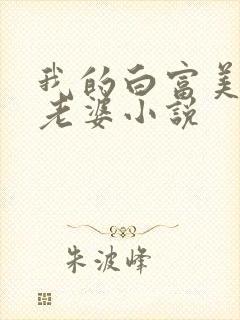 我的白富美总裁老婆小说