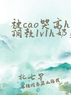 被cao哭高h调教1v1h奶瘾