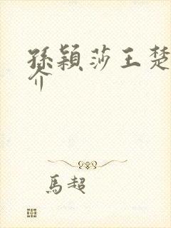 孙颖莎王楚钦简介