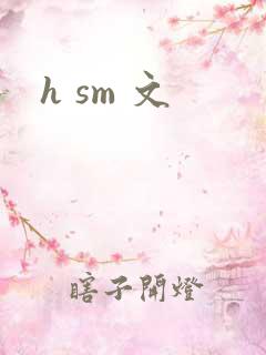 h sm 文