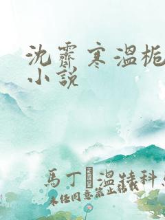 沈霁寒温栀妍的小说