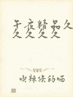 午夜精品久久久久久久久