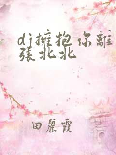 dj拥抱你离去张北北