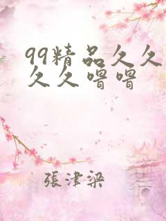 99精品久久久久久噜噜