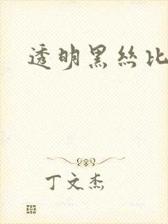 透明黑丝比基尼