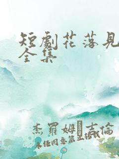 短剧花落见流萤全集