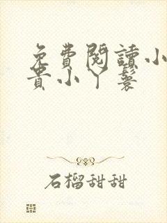 免费阅读小说富贵小丫鬟