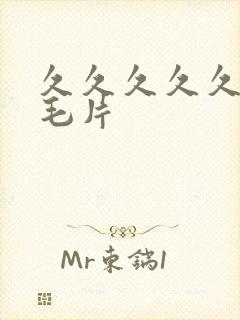 久久久久久高清毛片