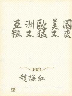 亚洲欧美国产又粗又猛又爽又黄