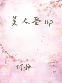 美人受 np