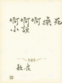 啊啊啊操死我了小说