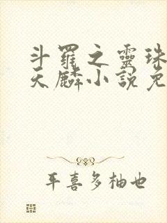 斗罗之灵珠神剑天麟小说免费阅读无弹窗