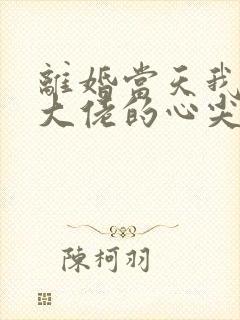 离婚当天我成了大佬的心尖宠