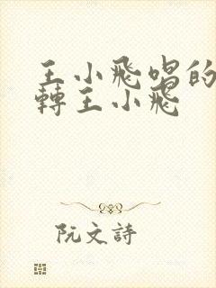 王小飞唱的二人转王小飞