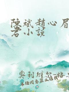 陈斌赵心眉高婉君小说