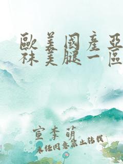 欧美国产亚洲丝袜美腿一区