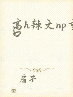 高h辣文np重口